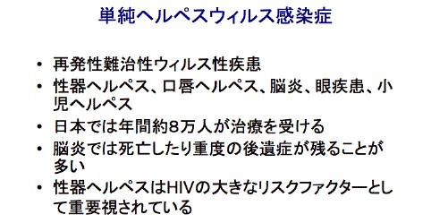 大阪大学 免疫化学 単純ヘルペスウィルスの感染機構