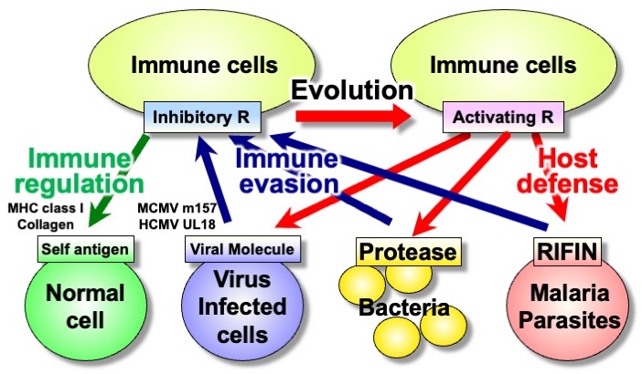 hostpathogen